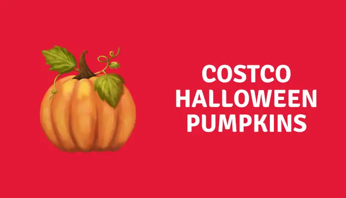 costco halloween pumpkin review