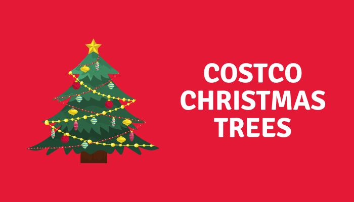 costco christmas trees with lights