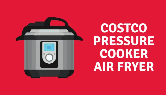 Costco Pressure Cooker Air Fryer instructions